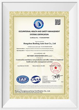 Sistema di gestione della salute e sicurezza-EN